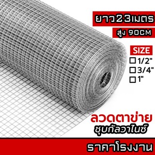 ลวดตาข่ายกรงไก่ ล้อมไก่ รั้วบ้าน 23M ตาข่ายสี่เหลี่ยม ตาข่ายกันนก กรงนก ตาข่ายปูพื้น Welded wire mesh galvanized
