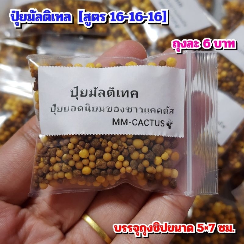 ปุ๋ยมัลติเทค ปุ๋ยละลายช้า 4 เดือน สูตร 16-16-16เหมาะสำหรับ กระบองเพชร แคคตัส