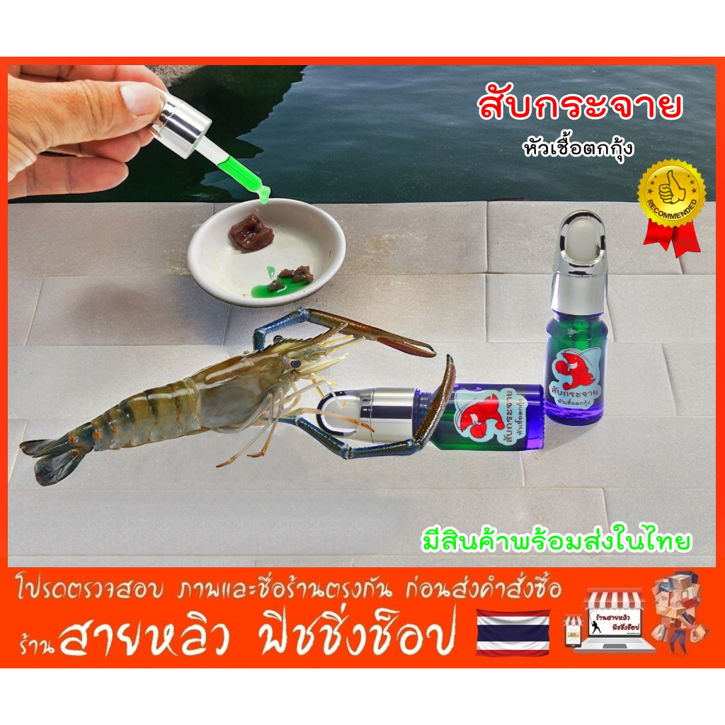 หัวเชื้อตกกุ้ง สับกระจาย (สูตรผสมเข้มข้น)10ml ขวดหยด สำหรับตกกุ้งบ่อ กุ้งแม่น้ำ (มีสินค้าพร้อมส่งในไทย)