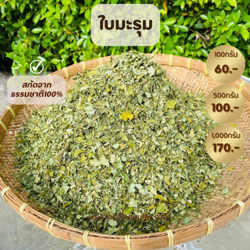 ใบมะรุมแห้ง ขนาด100กรัม-1000กรัม