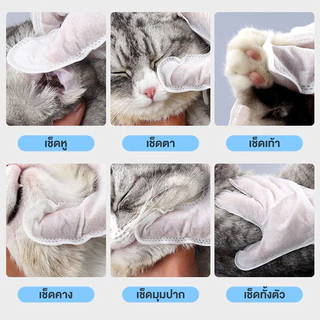 ถุงมืออาบน้ำแมว ถุงมือสัตว์เลี้ยงแบบใช้แล้วทิ้ง สุนัข 6ชิ้น/ห่อ ถุงมือเช็ดตั ใช้งานง่าย ไม่ระคายเคืองผิว