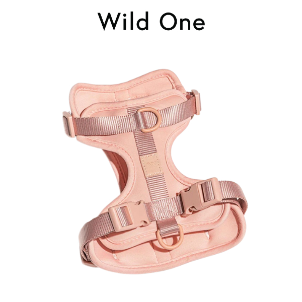 Wild One - Harness สายรัดอกสุนัข Blush