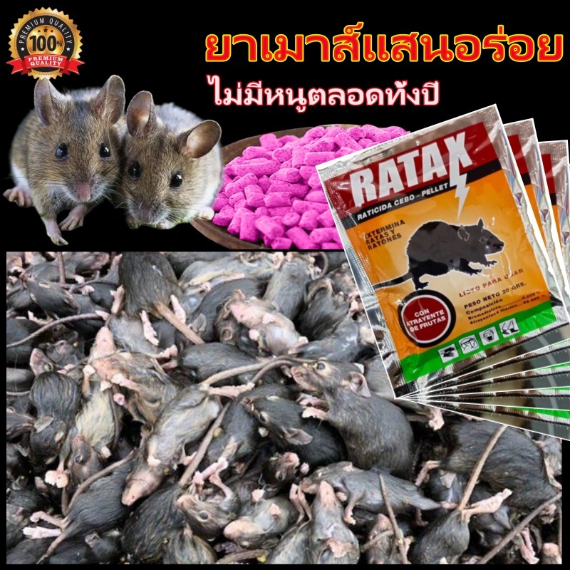ได้ผล200% ยาเบื่อหนูตายแห้งไม่มีกลิ่น500gตายแห้ง ไม่เหม็น ยากำจัดหนู เหยื่อกำจัดหนู ยาเบื่อหนูแห้ง ยาแลนเนตฆ่าหมา