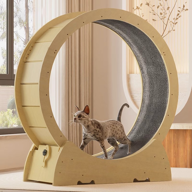 F&G ลู่วิ่งแมว Cat roller ลูกกลิ้งเงียบ ล้อวิ่งกีฬาไม้เนื้อแข็ง ฟิตเนสสำหรับสัตว์เลี้ยง นักวิ่งสำหรับแมว ของเล่นแมว