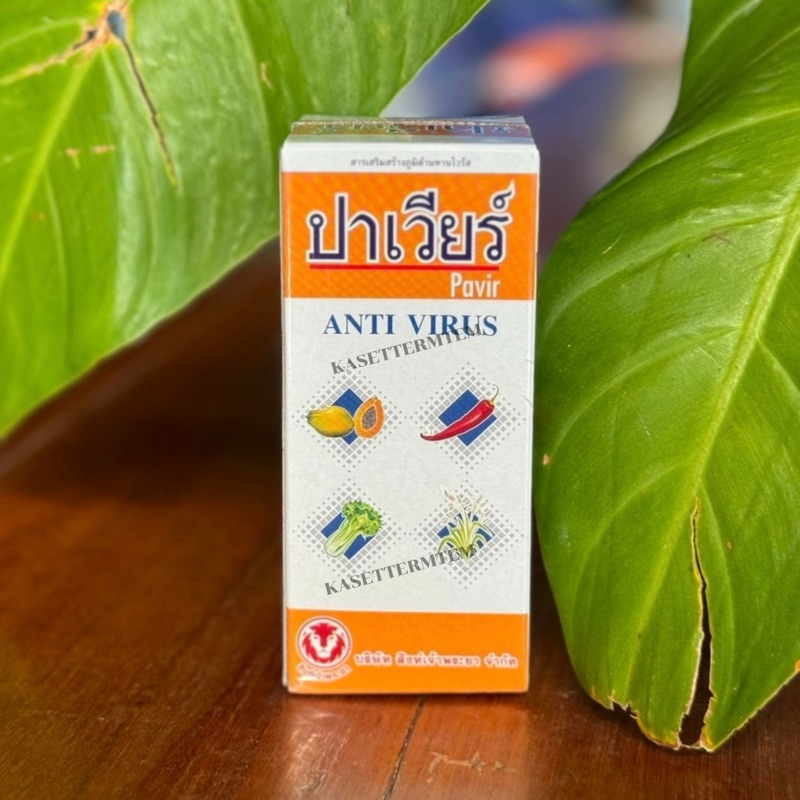 ปาเวียร์ ยาสร้างภูมิต้านทานไวรัส โรคใบหงิกเหลืองในพริก โรคจุดวงแหวนมะละกอ ถั่ว ม