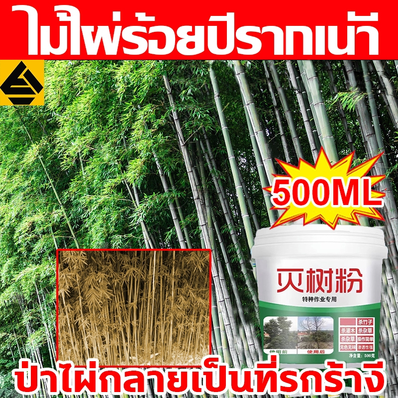 รากเน่ารากไม่ขึ้นอีก ยากำจัดต้นไม้สารกำจัดกอไผ่ผงกำจัดต้นไผ่ยาฆ่าตอไม้ 500gสูตรเข้มข้นกำจัดวัชพืชรากเน่า ผลติดทนนาน