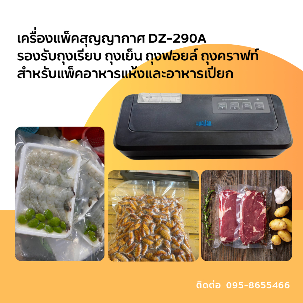 เครื่องแพ็คสุญญากาศ รุ่น DZ-290A