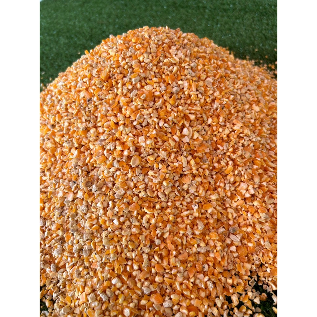 ข้าวโพดบดเลี้ยงไก่ เกรดA 1kg ราคาถูก Shopee Lazada