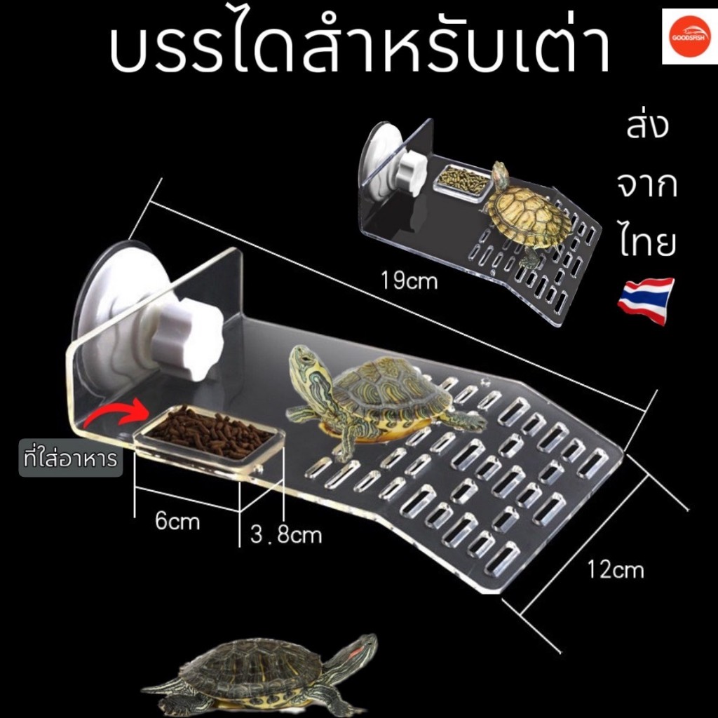 ที่พักเต่า บรรไดเต่า สีใส มีที่ใส่อาหาร สำหรับเต่าญี่ปุ่น,เต่าขนาดเล็ก