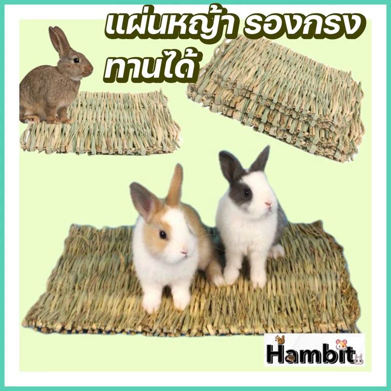Hambit. แผ่นหญ้ารองกรง สำหรับกระต่าย ทานได้ ทำจากฟางหญ้าแห้ง ไม่อันตราย ปลอดภัย 100% ไม่มีสารเคมี เป็นหญ้าจากธรรมชาติ