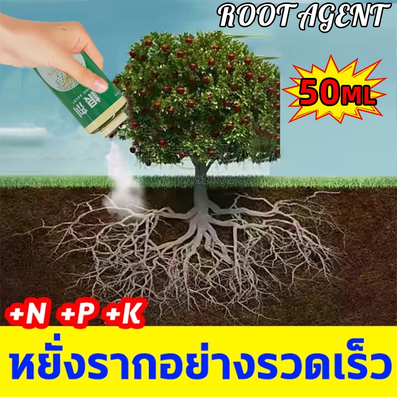 เร่งรากAmazing Gro เจล  น้ำยาเร่งราก Rooting gel เร่งราก กิ่งตอนกิ่งปักชำ แคตตัส ไม้ด่าง กัญชา