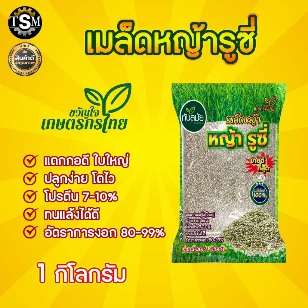 เมล็ดหญ้า รูซี่ 1 kg/500 กรัม หญ้ารูซี่ หญ้าสำหรับสัตว์เลี้ยง พันธุ์หญ้าอย่างดี พันธุ์หญ้า