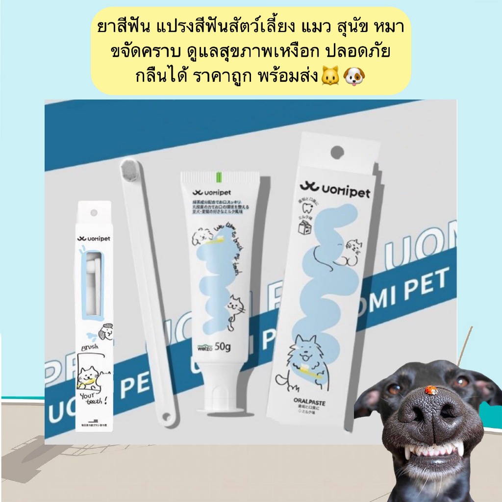PP-1216 ยาสีฟัน แปรงสีฟันสัตว์เลี้ยง แมว สุนัข หมา ขจัดคราบ ดูแลสุขภาพเหงือก ปลอดภัย กลืนได้ ราคาถูก พร้อมส่ง