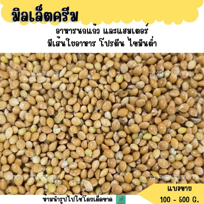 มิลเล็ต ครีม (แบ่งขาย 200-500G.) อาหารนกแก้วขนาดเล็กทุกสายพันธุ์