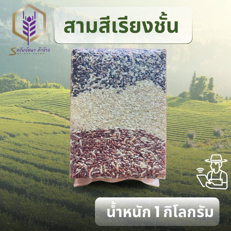 ข้าว3สีเรียงชั้นแพคสูญญากาศ1กิโลกรัม