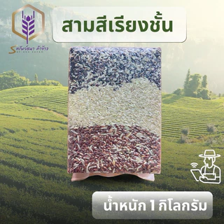 ข้าว3สีเรียงชั้นแพคสูญญากาศ1กิโลกรัม