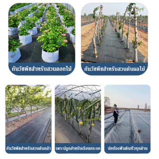 พลาสติกคลุมวัชพืช ขนาด10เมตร กำจัดวัชพืช ผ้าคลุมวัชพืช ผสมUV ฆ่าหญ้า เห็นผลไวถายใน 1 เดือน อยุ่ทนกว่า 3-5 ปี