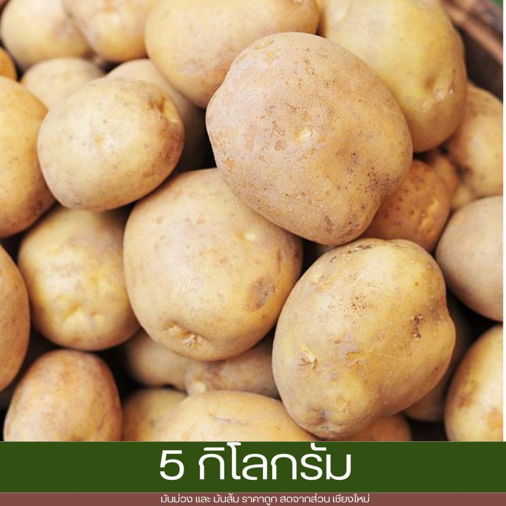 มันฝรั่ง (5 กิโลกรัม) โครงการหลวง ทุกลูกอร่อย มัน เหนียวหนึบ เครมได้