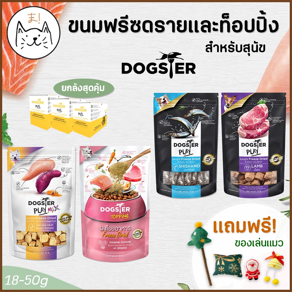 KUMAま DOGSTER ขนมสุนัข (6-12 ซอง/ลัง) Freeze Dried/Topping ขนมฟรีซดราย ท็อปปิ้ง ชิ้นเนื้อแท้ ผงโรยอาหาร ฟรี!ของเล่นสุนัข