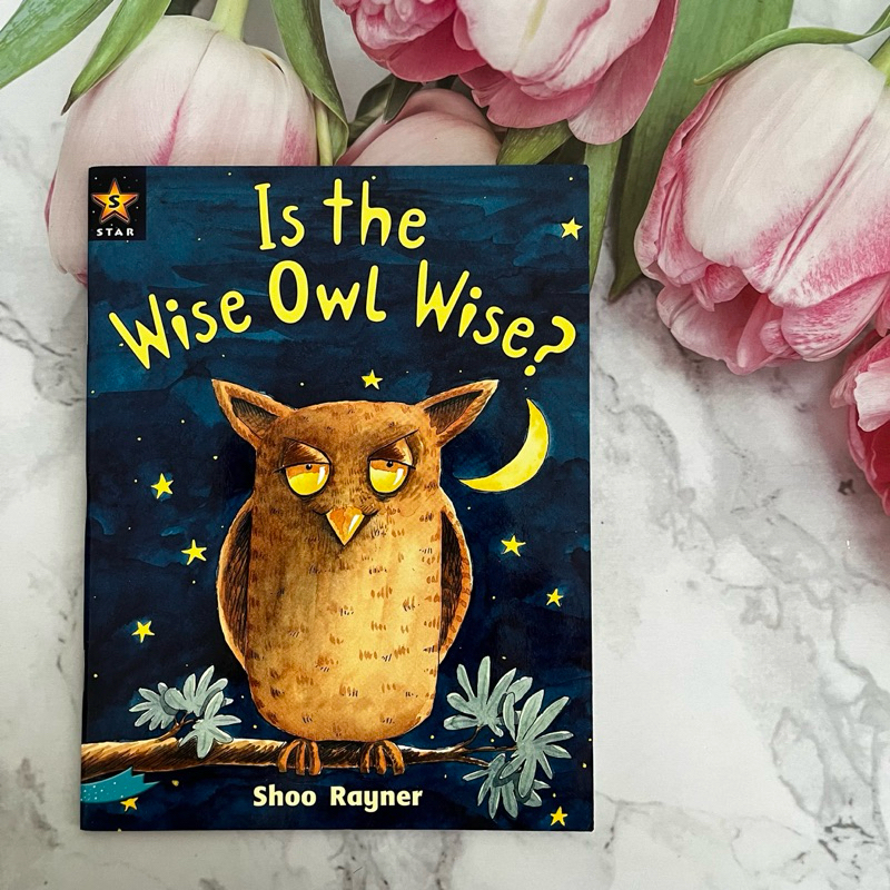 นิทานภาพ ภาษาอังกฤษ ปกอ่อน Is the Wise Owl Wise?
