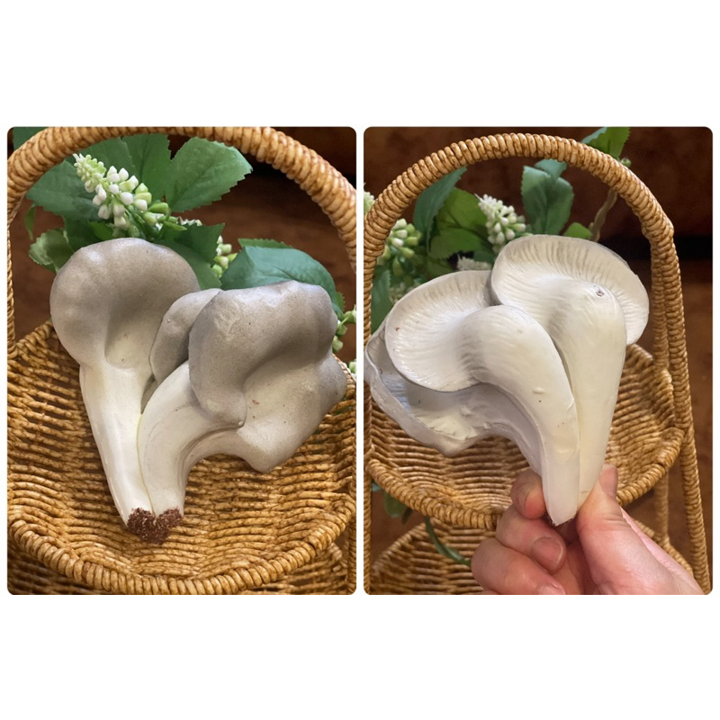 เห็ดนางฟ้าปลอม โมเดลเห็ดนางฟ้า (3 ใบ) วัสดุผลิตจากยาง จับแล้วนิ่ม