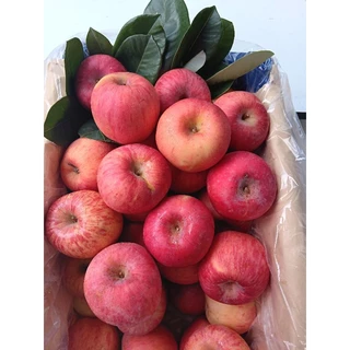แอปเปิ้ลแคระ🍎สายพันธุ์ฟูจิ🍎1kg.🍎กรอบ อร่อย แอปเปิ้ลไม่ได้แว๊กผิวสีผิวตามธรรมชาติ ต้องลอง size 5-7 ลูก