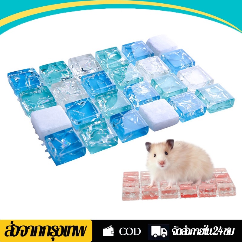 แผ่นเย็นหนูแฮมสเตอร์ แผ่นหินเย็น แผ่นเย็นคลายร้อน แผ่นหินเย็นของหนูแฮมสเตอร์ กระรอก ชูการ์ ดอร์เมาส์ เม่นแคระ