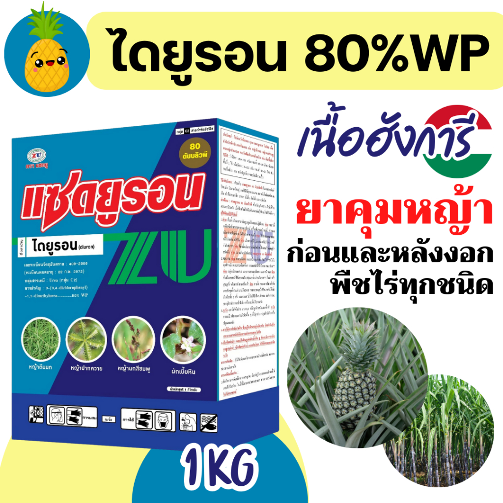 [3แบบ] ไดยูรอน 80% (WP) แบบผง สารคุม ฆ่า กำจัดหญ้าวัชพืชในไร่อ้อย สัปปะรด ฉีดทับได้