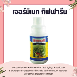 ปุ๋ย ปุ๋ยกิฟฟารีน เจอร์มิเนท กรดอะมิโน 19 ชนิด อยู่ในรูป กรดอมิโนอิสระ (L- amino acid) ที่ สามารถดูดซึมเข้าสู่เซลล์พืชได