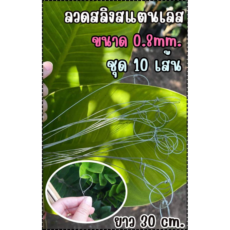 ลวดดักหนู ลวดสลิงอย่างดี ยกเซ็ท !!! ขนาด0.08มิล ชุด 10-50 เส้น