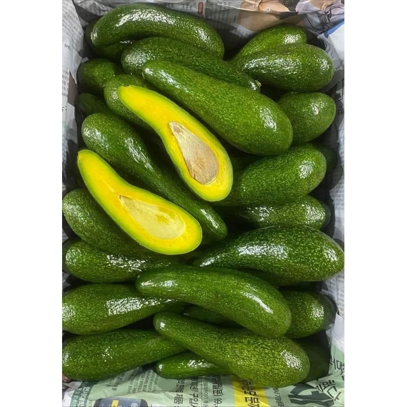 🥑อาโวคาโด 034 เวียดนามแท้ !!พร้อมส่งราคาถูกที่สุด!!￼