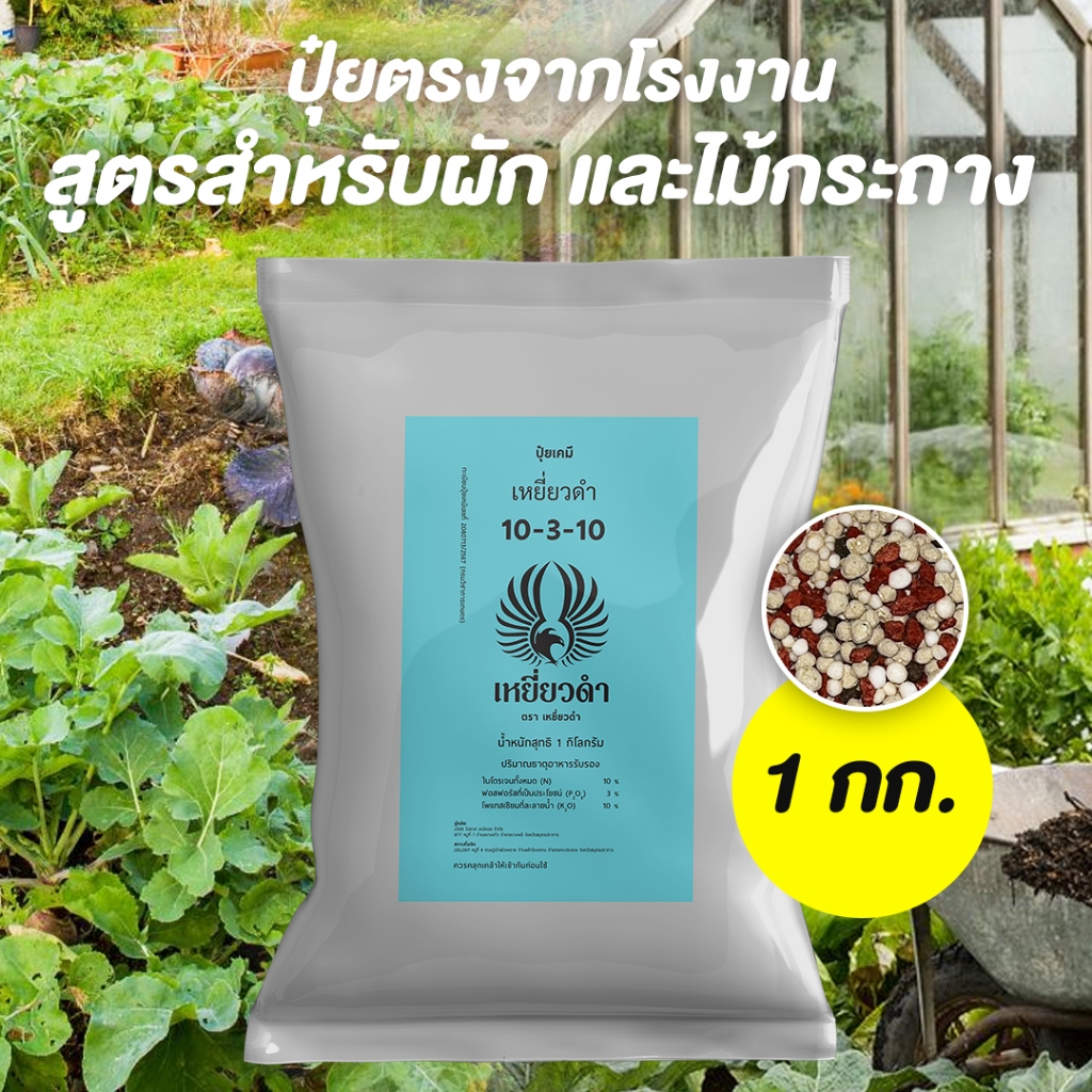 ปุ๋ยเคมี 10-3-10 สูตรผักใบ เร่งโต ใบเขียว พืชกินได้นาน พร้อมสารปรับสภาพดิน ขนาด 1 กก. ปุ๋ยเหยี่ยวดำ