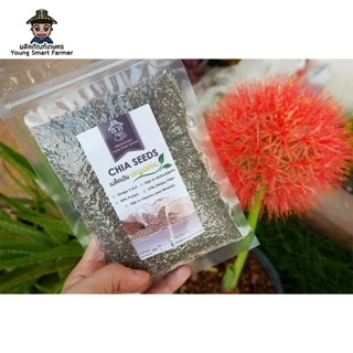 (มี อย.)ChiaSeed เมล็ดเจีย 100 กรัม(แพ็คสูญญากาศซิปล็อค)