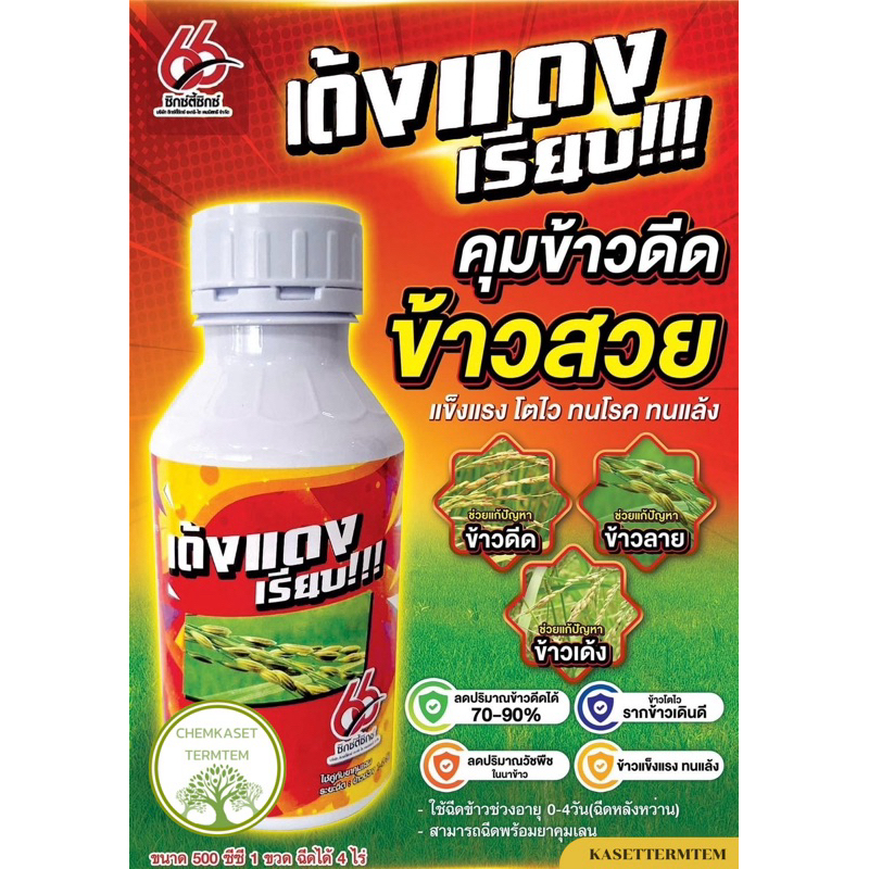 เด้งแดงเรียบ! 500 ซีซี👍1 ขวด ได้ 4ไร่👍 ยาคุมข้าวดีด ข้าวสวย แข็งแรง โตไว ทนโรค ทนแล้ง