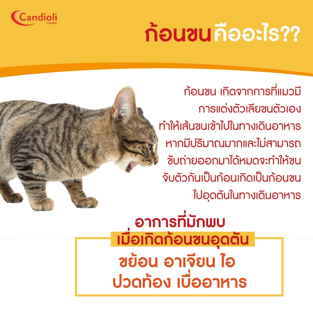 Candioli : BoloVia [แท้💯] เจลป้องกันและกำจัดก้อนขน สำหรับแมว จากประเทศอิตาลี 🇮🇹 50 g. (Bolo Via) - รูปที่ 4