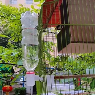 ถ้วยน้ําดื่มอัตโนมัติ ถ้วยให้น้ำไก่ สําหรับสัตว์เลี้ยง ที่ให้น้ำนกแก้ว นกพิราบ หนูแฮมสเตอร์ มีให้เลือก 4 สี
