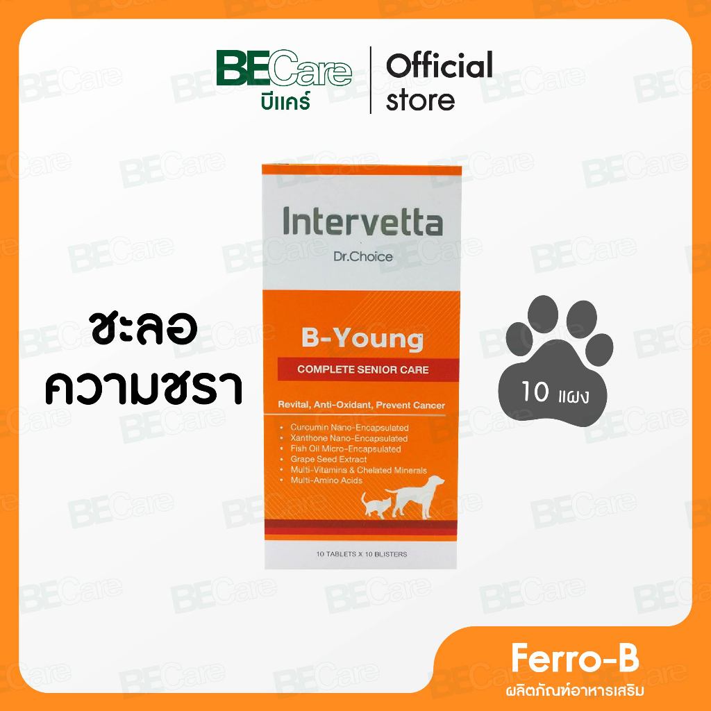 B-Young ผลิตภัณฑ์อาหารเสริมสำหรับสุนัขสูงอายุ ชะลอความชรา คืนความสดใสให้สัตว์เลี้ยงที่คุณรัก(สำหรับสัตว์สูงวัย 7+)