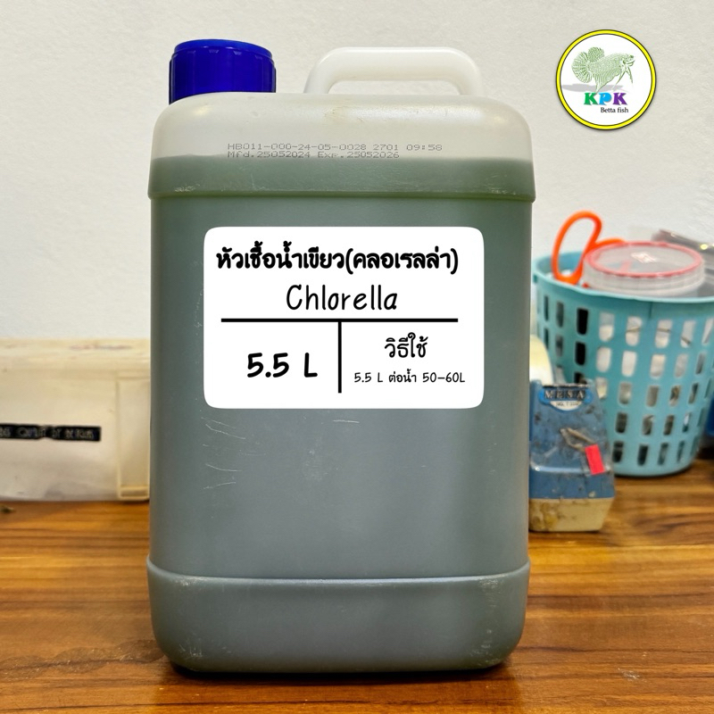 KPK หัวเชื้อน้ำเขียว(คลอเรลล่า) เข้มข้น สำหรับขยายและเลี้ยงไรแดงไรนางฟ้า (5.5ลิตร)