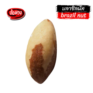 บลาซิลนัท อบไม่ใช้น้ำมัน (brazil nut) by ล้อมวง ถั่ว ธัญพืช