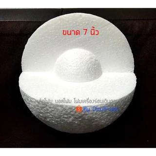 โฟมแบบจำลองโครงสร้างของโลก เซลล์พืช เซลล์สัตว์ ขนาดเส้นผ่านศูนย์กลาง 7 นิ้ว 1 Layer