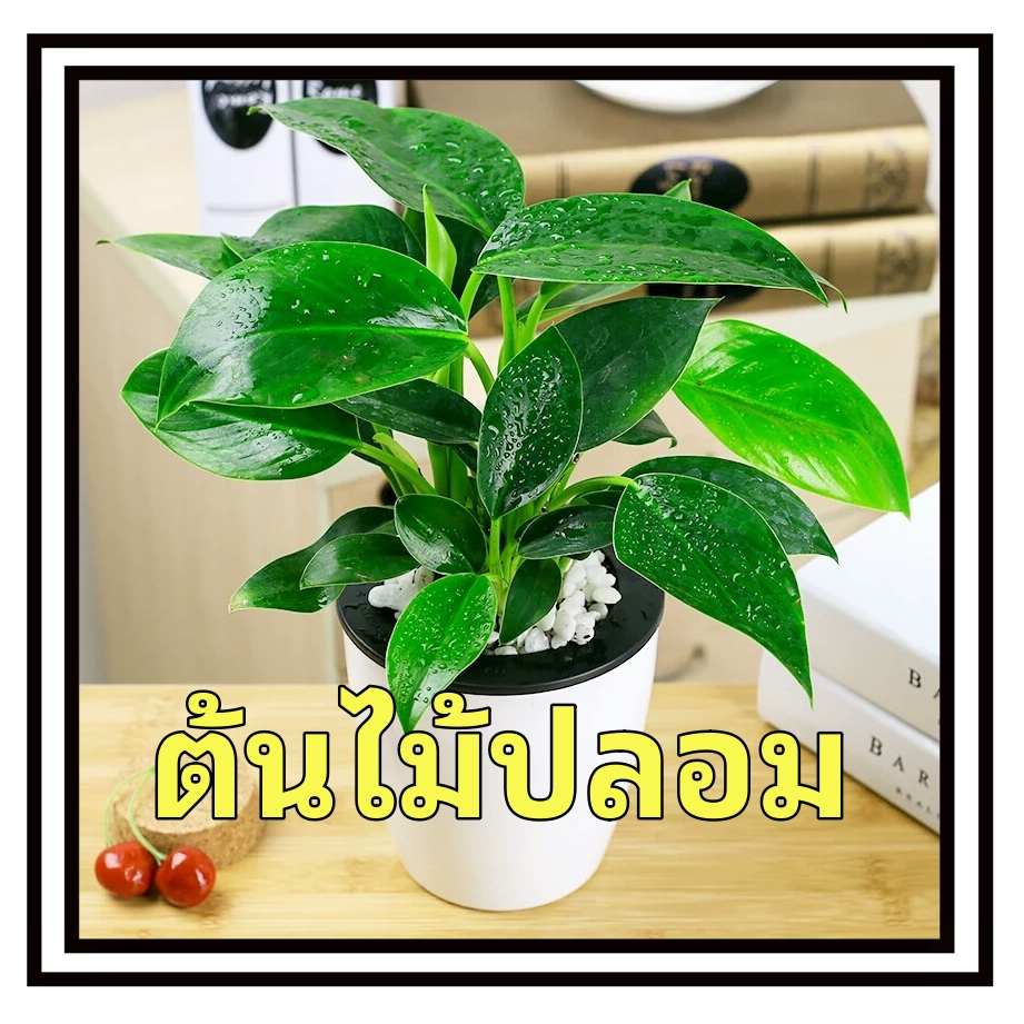 กระถางต้นไม้จําลอง มินอมอล บอนไซปลอม สำหรับตกแต่งบ้านและสวน โต๊ะสํานักงาน  ใบไม้ปลอม