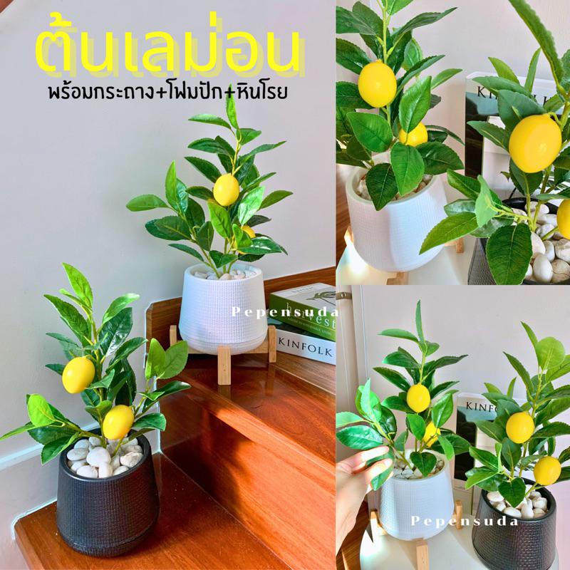 ต้นเลม่อนมินิมอล พร้อมกระถางมินิมอลและหินโรย ต้นไม้ปลอมตกแต่งบ้าน