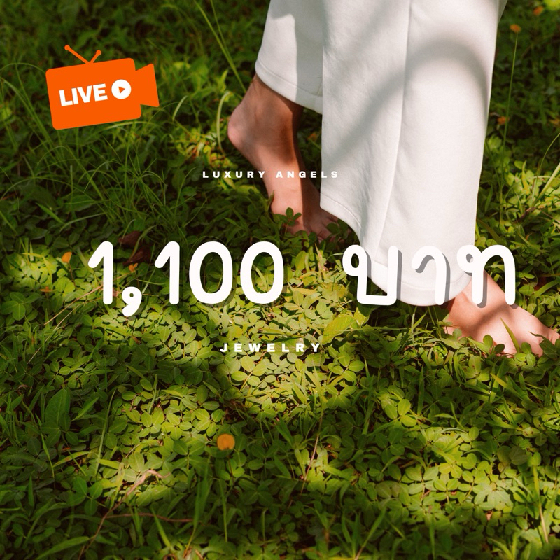 เครื่องประดับนำเข้า 1100 บาท (ในไลฟ์สดเท่านั้น)