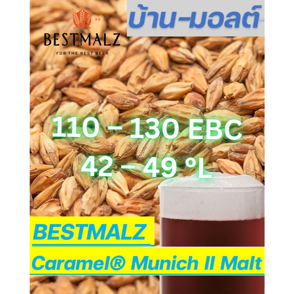 BESTMALZ Caramel® Munich II