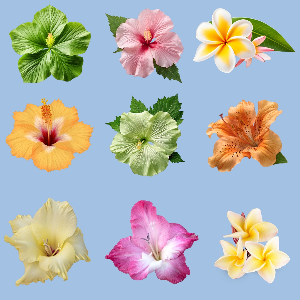 ตัวรีดติดเสื้อ รวมดอกไม้เหมือนจริงสวยๆ เซ็ตล่าสุด NEW( FP .02 )  รีดติดง่ายทุกเนื้อผ้า