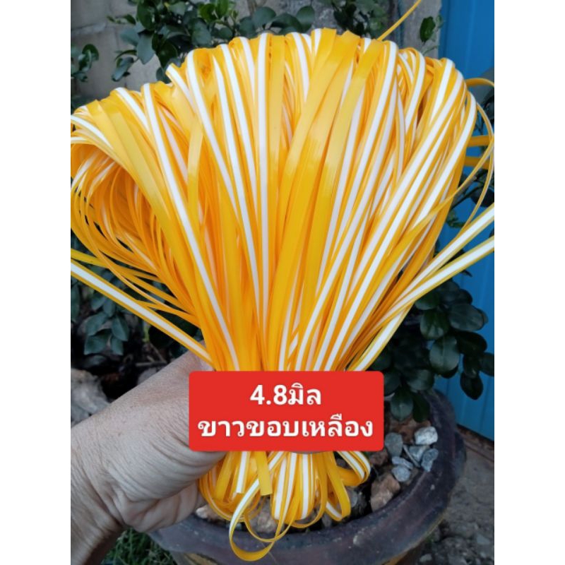 หวายสานตะกร้า สีขาว  4.8มิล ขนาด 500g (ครึ่งกิโลกรัม) เส้นยาว สีสันสวยงาม - รูปที่ 7