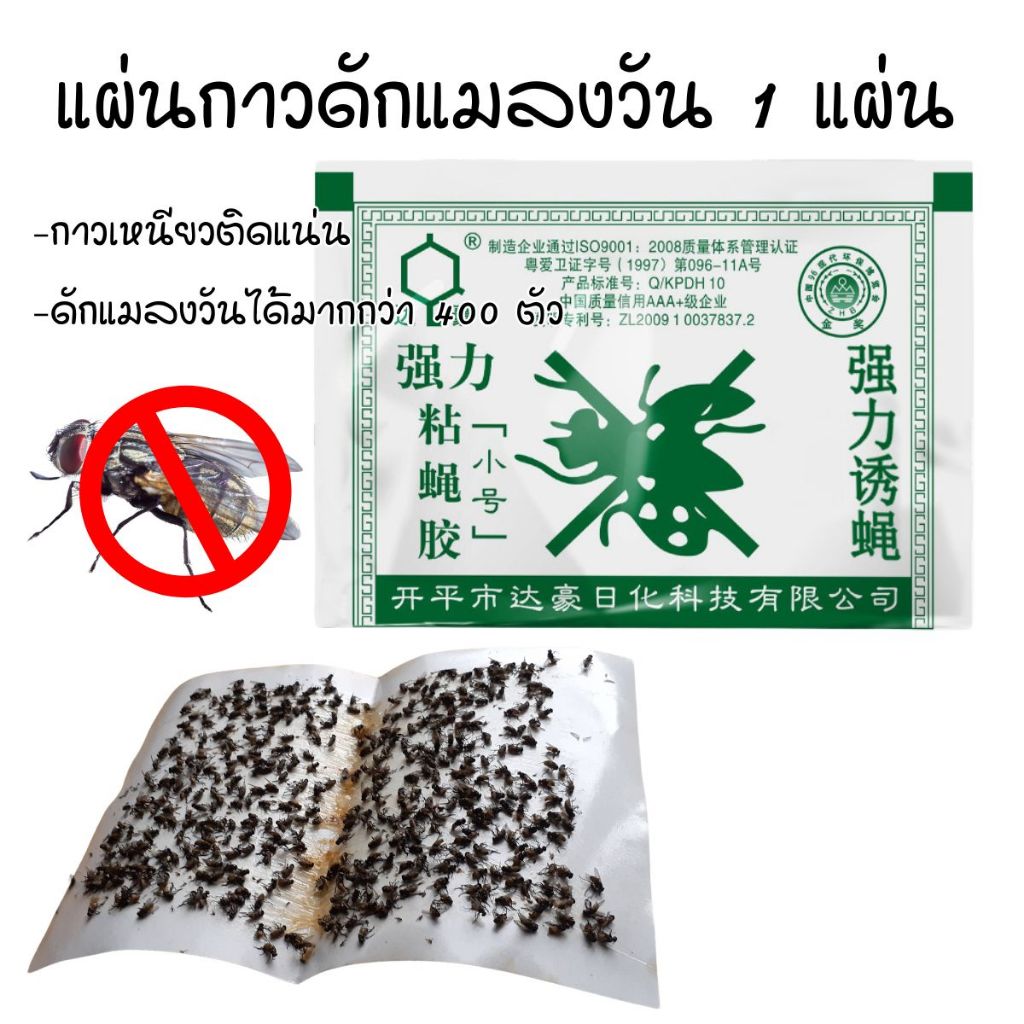 แผ่นกาวดักแมลงวัน 1 แผ่น กาวเหนียว ติดแน่น สินค้าพร้อมส่งในประเทศไทย