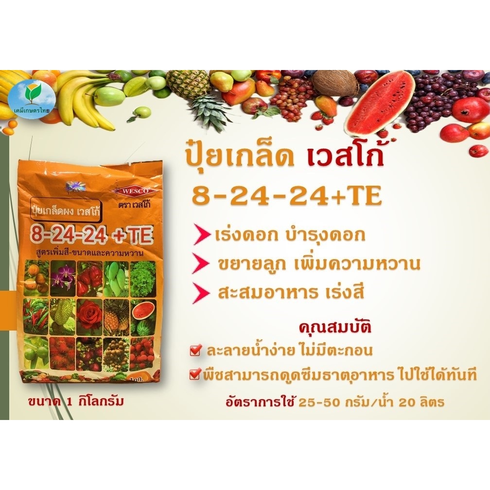 ปุ๋ยเกร็ด 8-24-24+TE เวสโก้ สูตรเพิ่มดอก เพิ่มขนาด ละลายน้ำได้ดี บรรจุ 1 กิโลกรัม