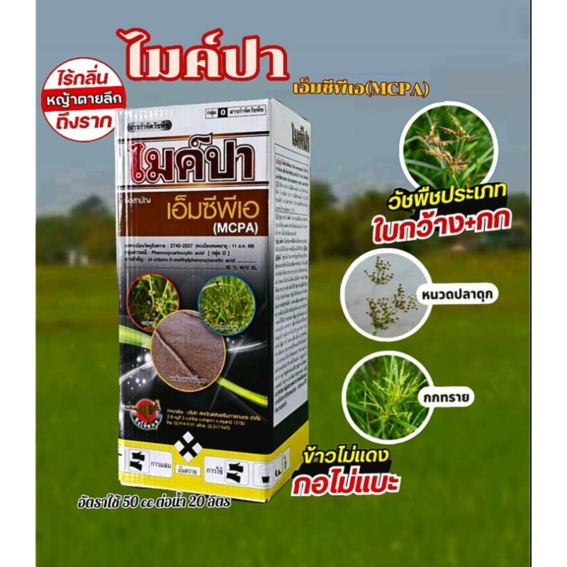 (แจกโค้ด20%กรอก INC768UQ ช่องโค้ดช้อปปี้)ไมค์ปา จิงโจ้ สารกำจัดหญ้าใบแคบ กก ผือ ในนาข้าว ตายถึงหัว และไม่มีกลิ่น 1ลิตร