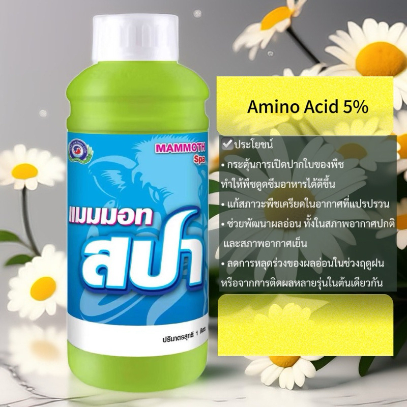 อะมิโนเข้มข้น Amino acid 5% ฮอร์โมนพืชเพื่อลดการหลุดร่วงของช่อดอก ฟื้นต้นโทรม // แมมมอท สปา ขนาด 1 ลิตร